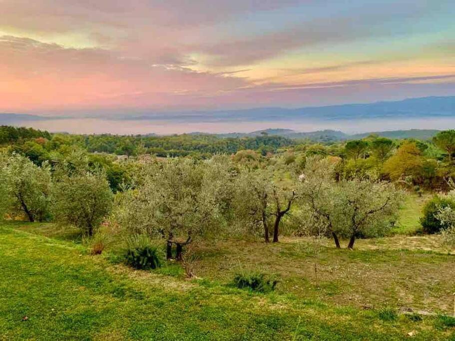 Vesper - Casale Con Piscina - Ad Galli Cantum Città della Pieve Εξωτερικό φωτογραφία