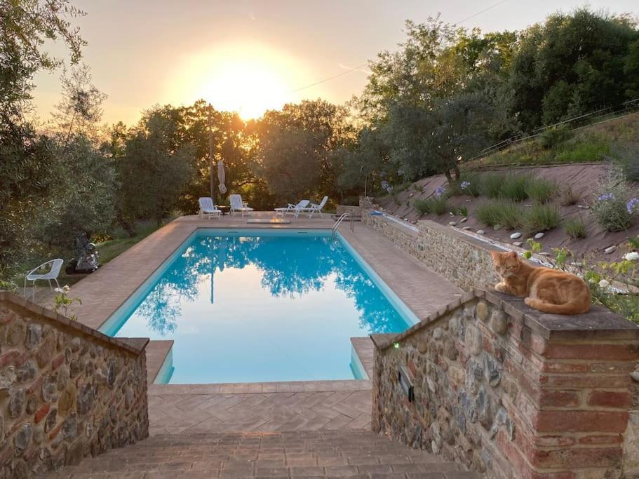 Vesper - Casale Con Piscina - Ad Galli Cantum Città della Pieve Εξωτερικό φωτογραφία