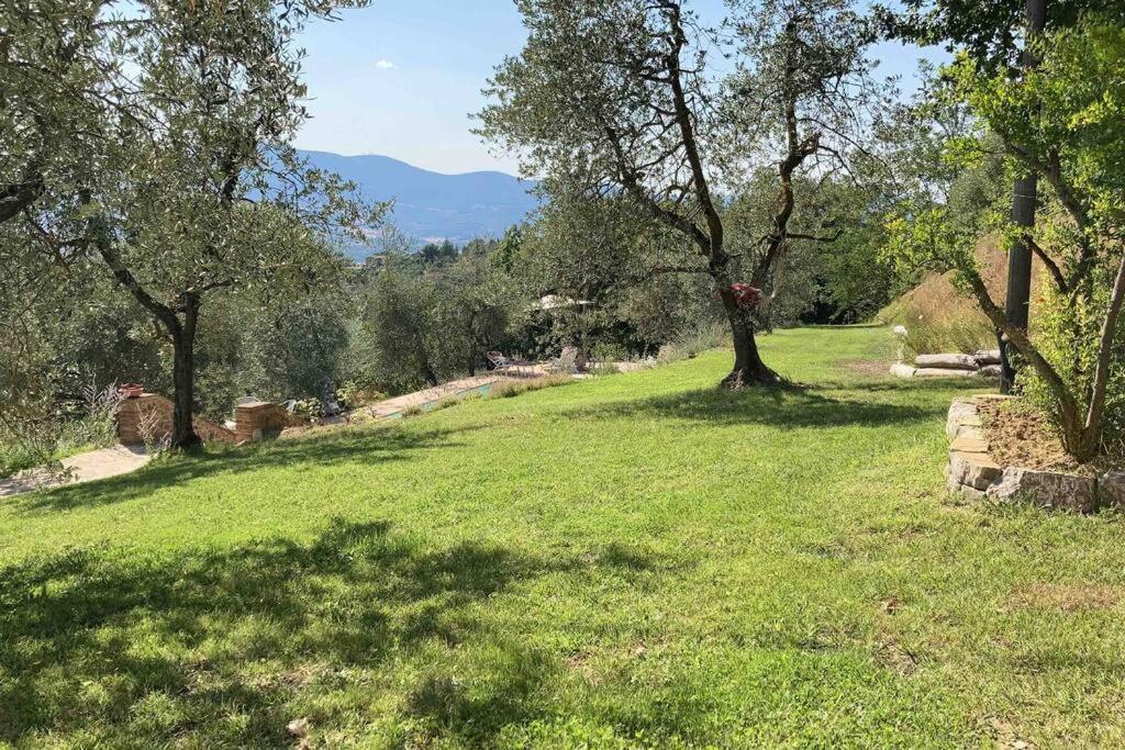 Vesper - Casale Con Piscina - Ad Galli Cantum Città della Pieve Εξωτερικό φωτογραφία