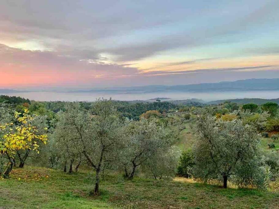 Vesper - Casale Con Piscina - Ad Galli Cantum Città della Pieve Εξωτερικό φωτογραφία